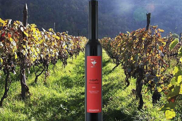 Hotel Wine Palace Tbilisi Zewnętrze zdjęcie